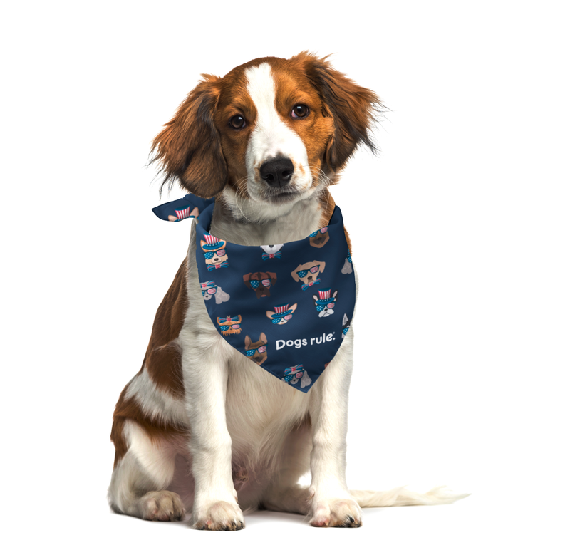 All Star Pup Bandana