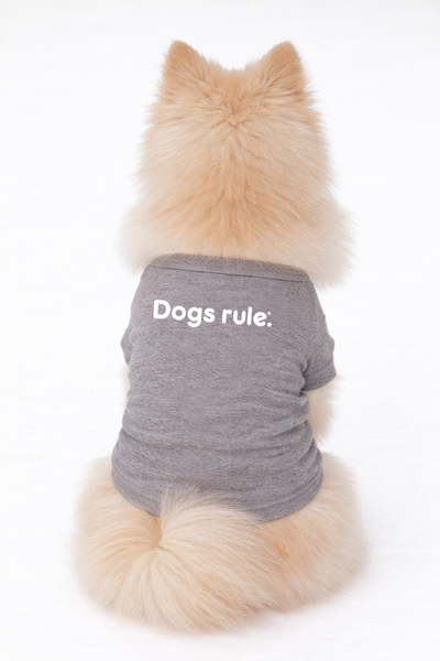 Fur Baby Finds