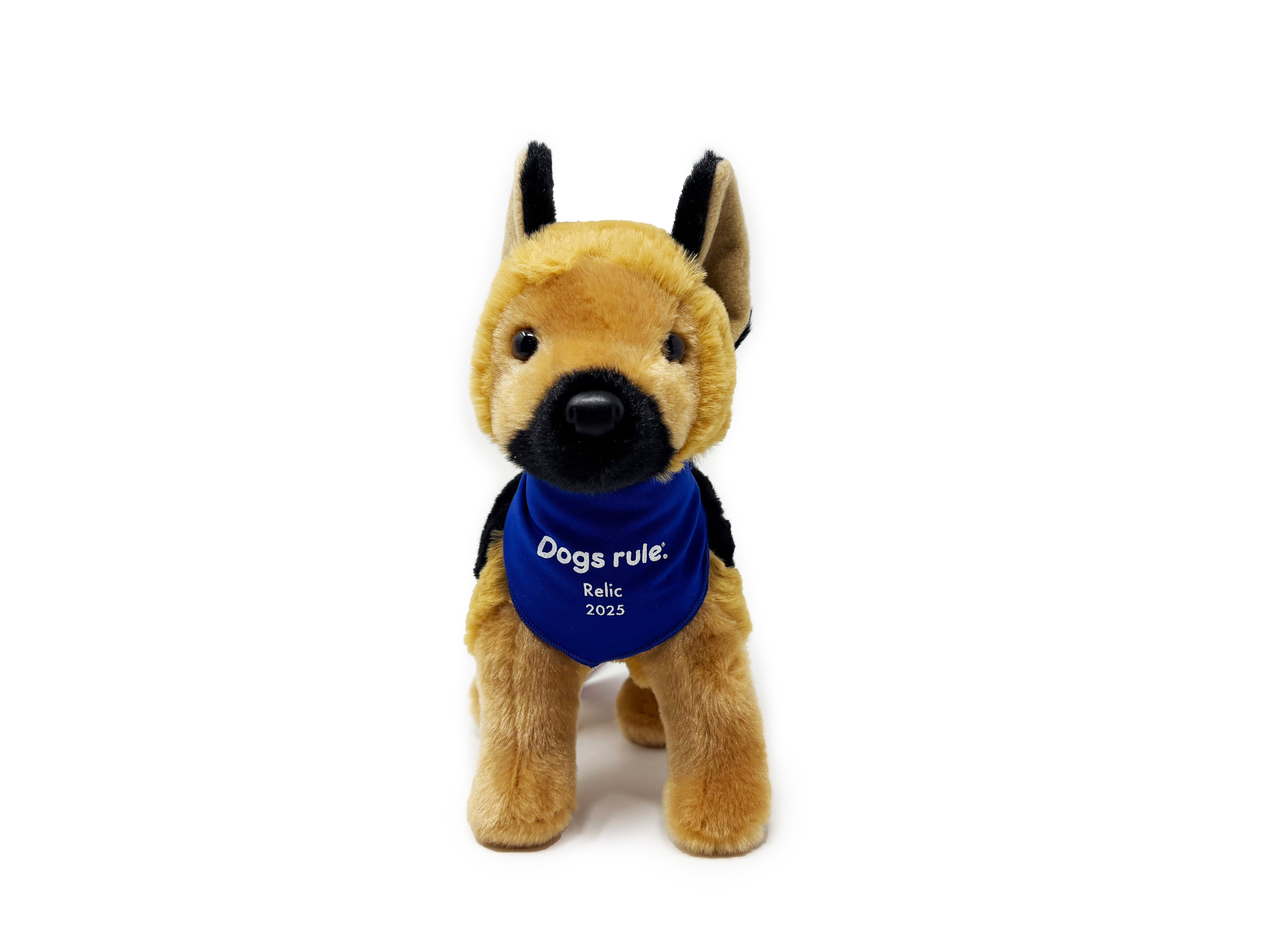 Relic : PEDIGREE Foundation 2025 Rescue Dog of the Year – Pedigree ...