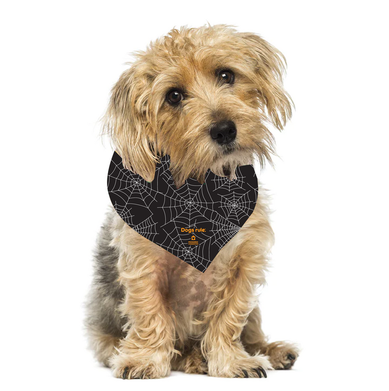 Halloween Bandana