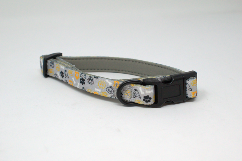 Dog Park Collar