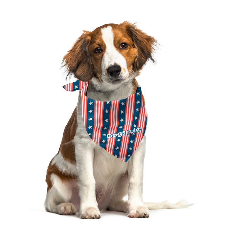 Stars and Stripes Pup Bandana