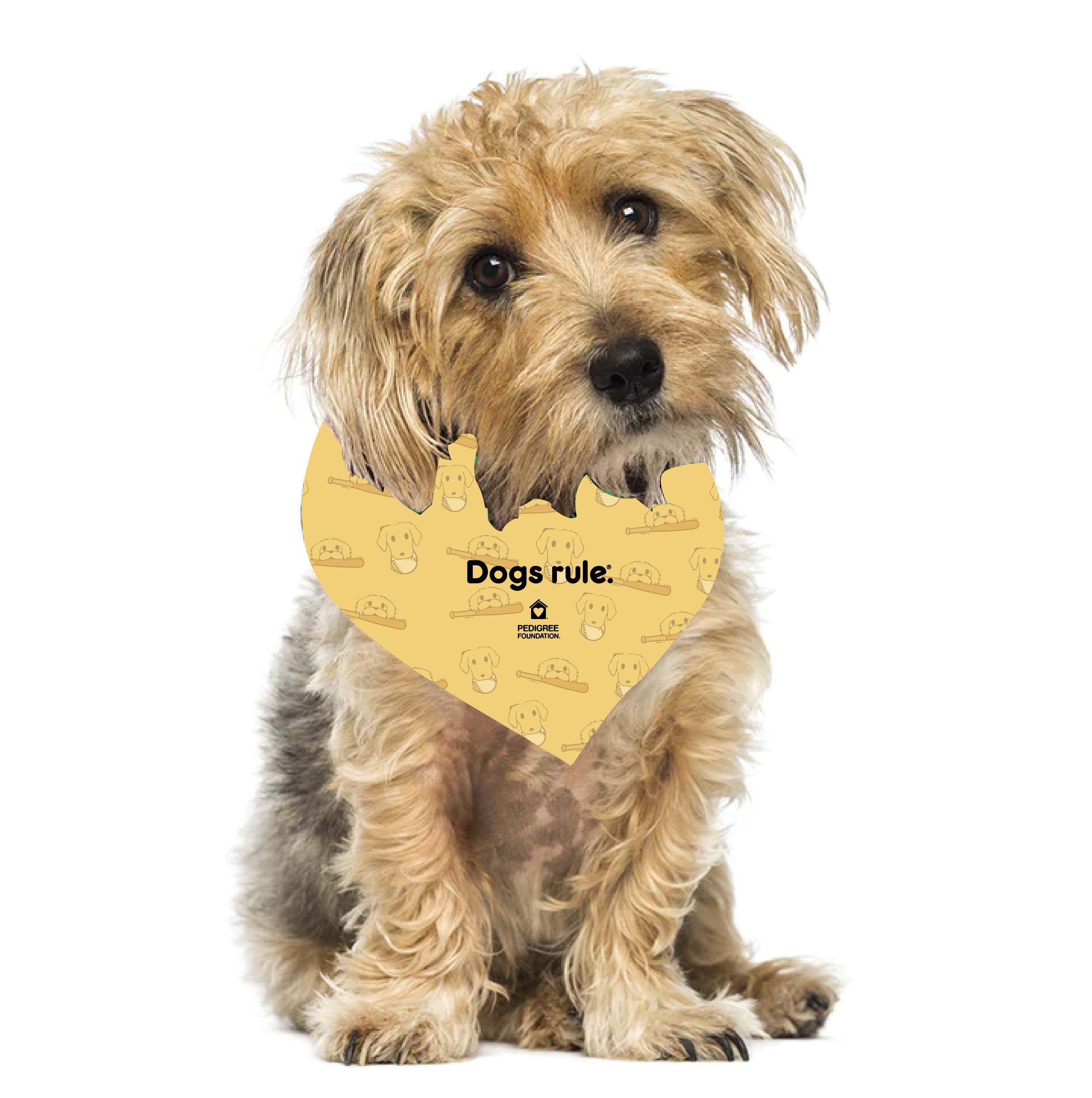 Ballpark Bandana – Pedigree Foundation DOGS RULE.® Store