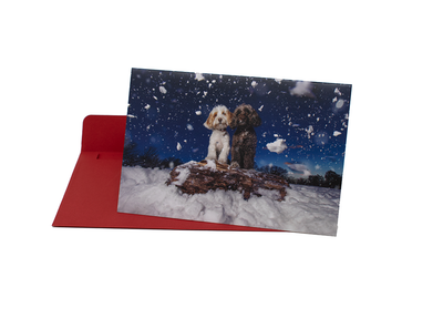 Happy PAWlidays 15 Card Set