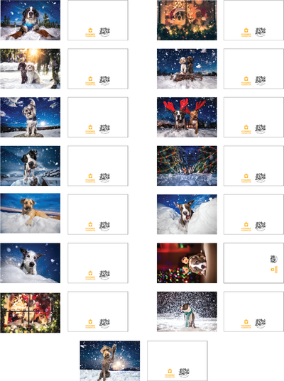 Happy PAWlidays 15 Card Set