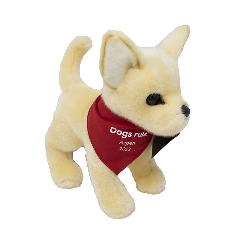 Aspen : PEDIGREE Foundation 2022 Rescue Dog of the Year