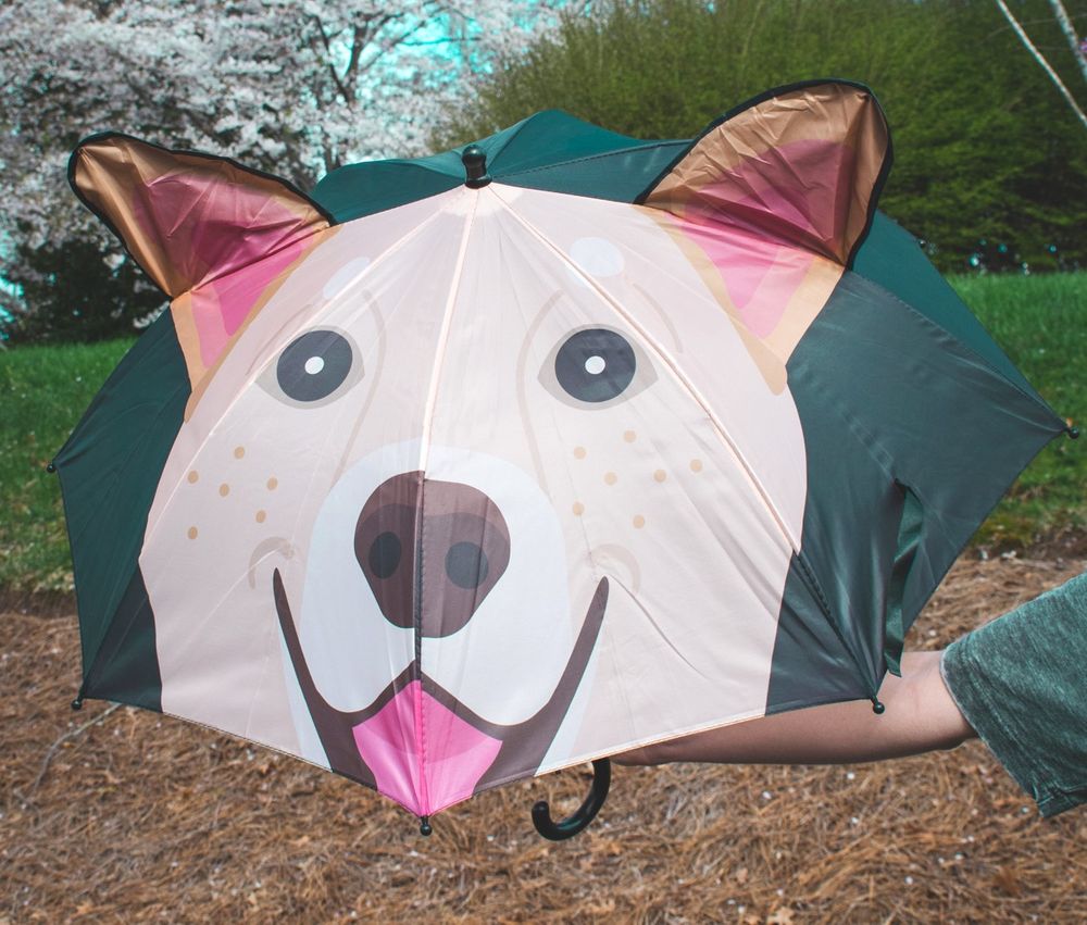 Large dog umbrella outlet