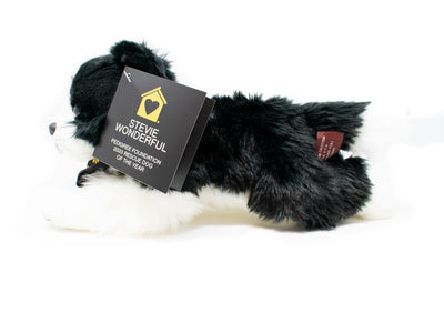 Stevie Wonderful: PEDIGREE Foundation 2020 Rescue Dog of the Year
