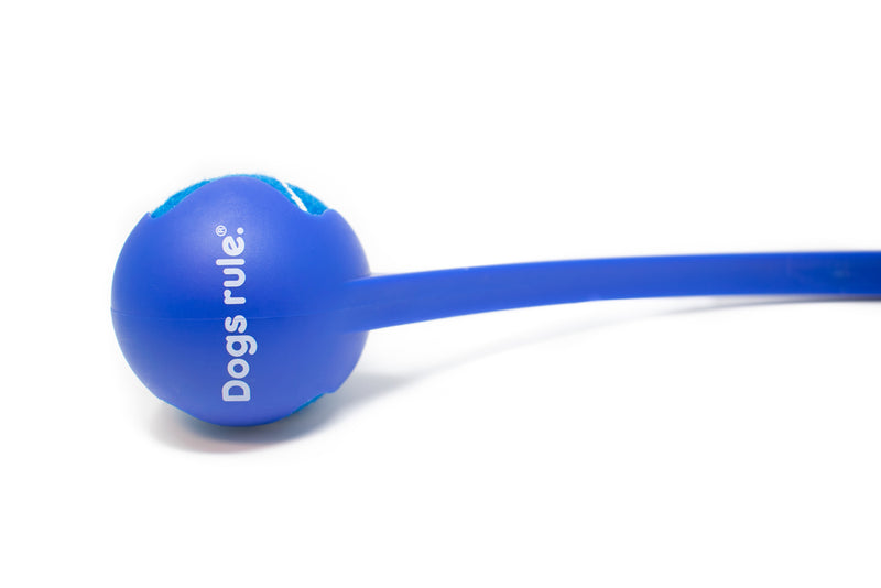 Tennis Ball Launcher